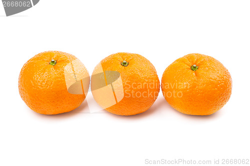 Image of Close-up of three sweet mandarins