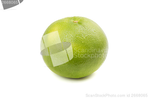 Image of Sweetie fruit with water drops