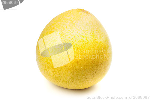 Image of Pomelo fruit with water drops