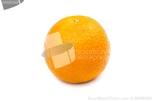 Image of Orange fruit with water drops