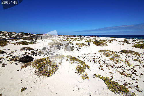 Image of spain  isle white  beach  plant   rocks    lanzarote 