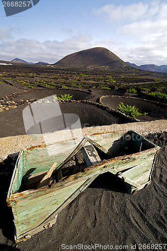 Image of crops viticulture  winery lanzarote wall   cultivation barrel