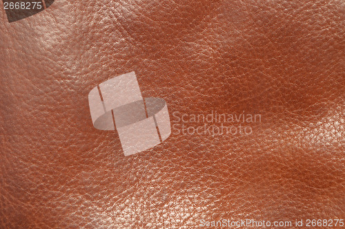 Image of leather background