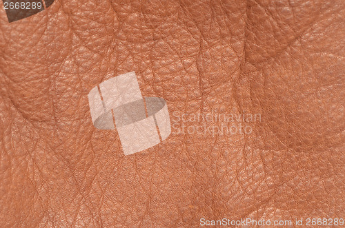 Image of leather background