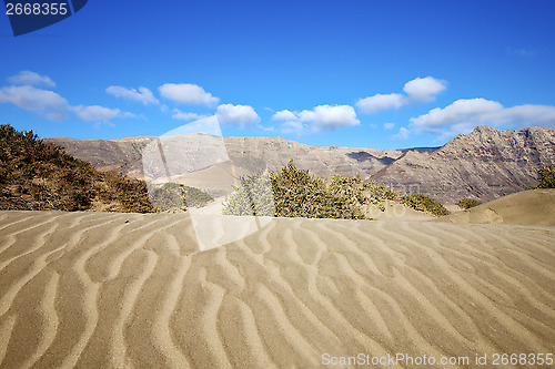 Image of abstract yellow dune beach  hil and mountain in    lanzarote  