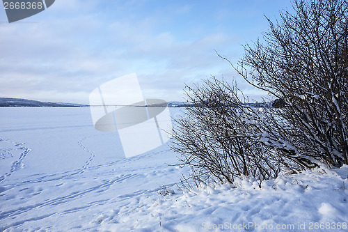 Image of Winter Landscape