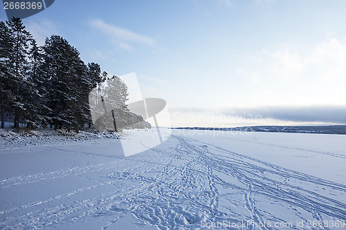 Image of Winter Landscape