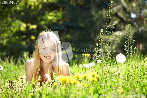 Image of Spring girl lying on the field of dandelions