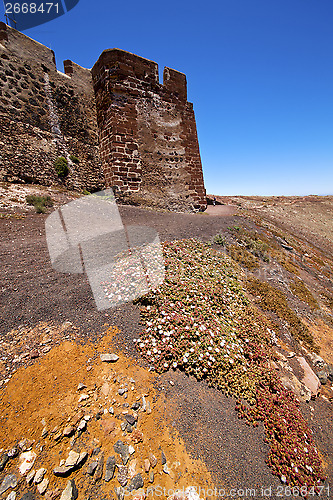 Image of flower arrecife  lanzarote  spain the old wall castle  sentry  