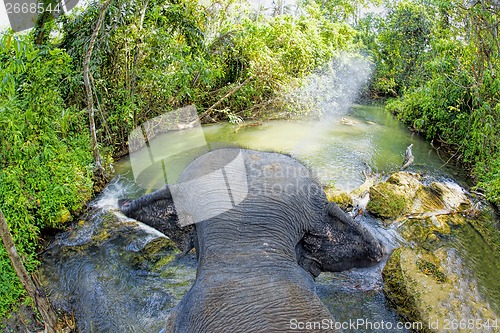 Image of Elephant riding