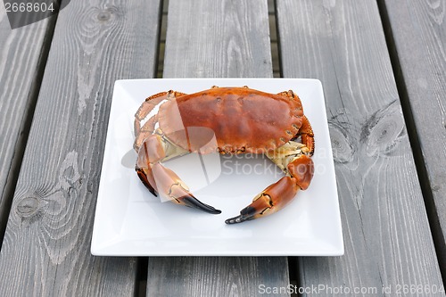 Image of Cooked crab on white plate