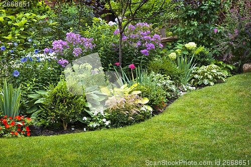 Image of Garden and flowers