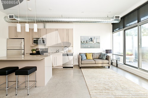 Image of Modern condo kitchen and living room