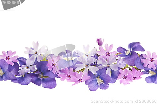 Image of Purple spring flower border