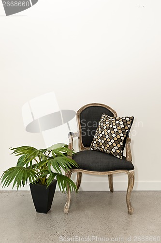 Image of Antique armchair and plant near wall