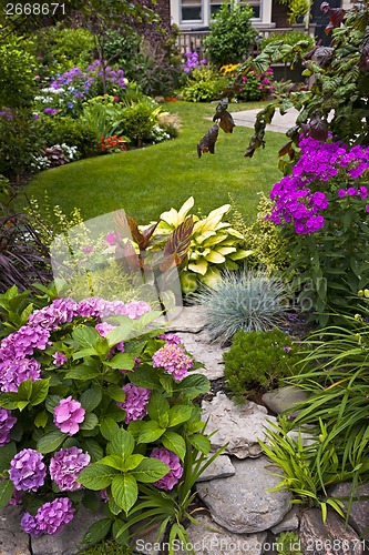 Image of Garden and flowers