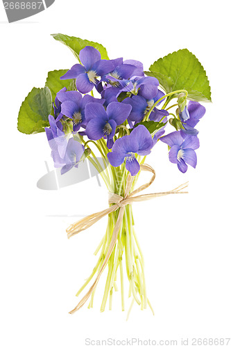 Image of Bouquet of violets