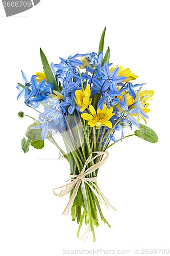 Image of Bouquet of fresh spring flowers