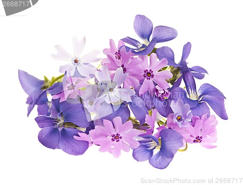 Image of Bouquet of spring flowers