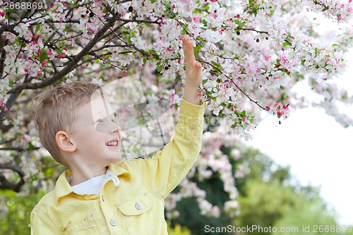 Image of boy at spring time