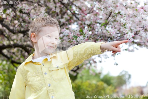 Image of boy at spring time