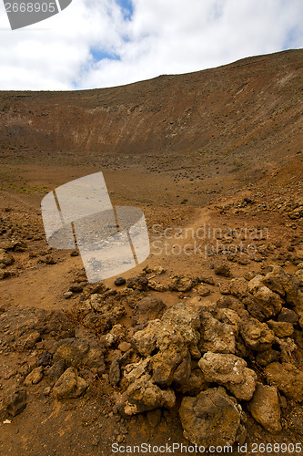 Image of wood plant  bush timanfaya  volcanic rock stone sky    lanzarote