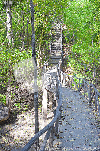 Image of wooden bridge