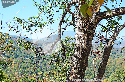 Image of mountains