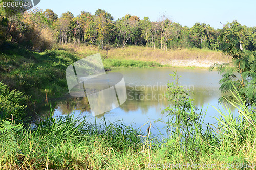 Image of tropical lake