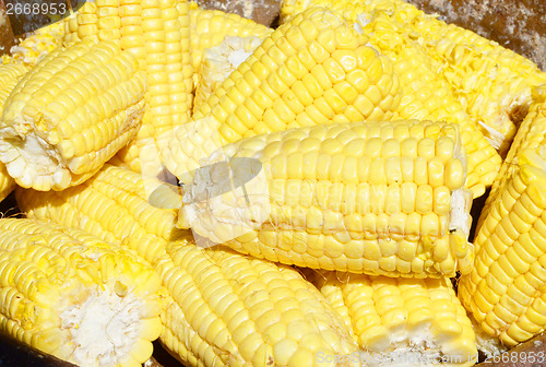 Image of ripe corn