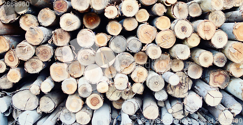 Image of woodstack