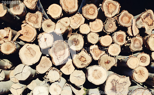 Image of woodpile