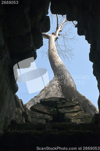 Image of A view upwards inside the building.