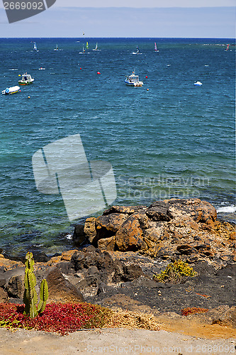 Image of surf cactus coastline lanzarote  in spain musk 