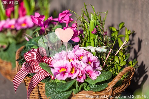 Image of Background of colourful vivid summer flowers