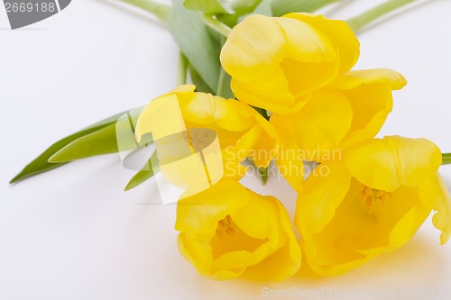 Image of Bunch of cheerful yellow tulips