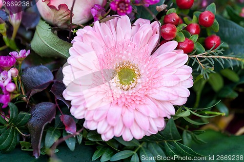 Image of Background of colourful vivid summer flowers