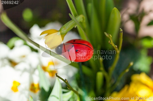 Image of Background of colourful vivid summer flowers