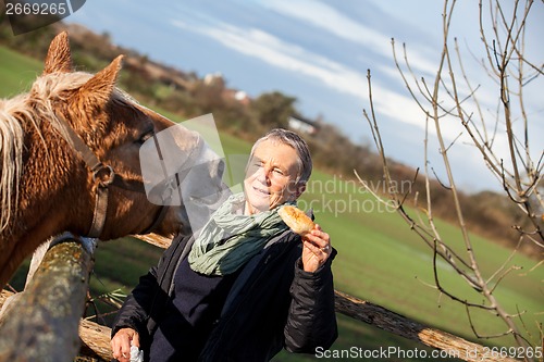 Image of Elderly couple petting a horse in a paddock