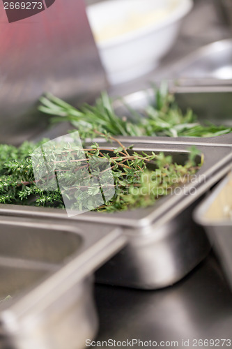 Image of Fresh rosemary sprigs on a kitchen counter