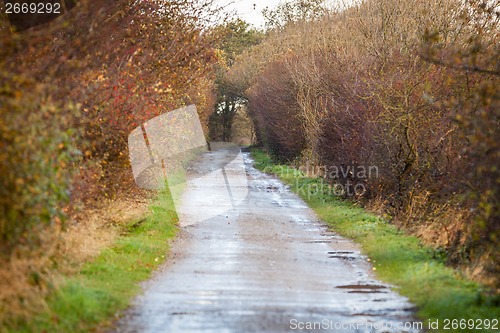 Image of landscape and street in autumn spring outdoor 