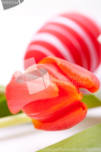 Image of Colourful red Easter still life