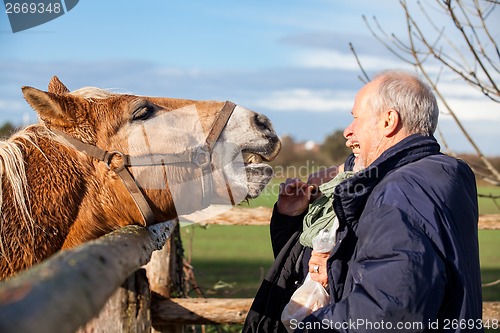 Image of Elderly couple petting a horse in a paddock
