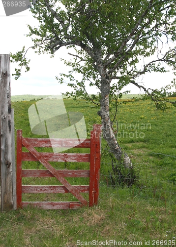 Image of Old wicket