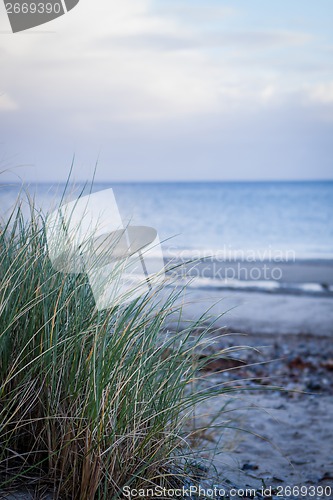 Image of beautiful landscape dunes baltic sea in autumn winter