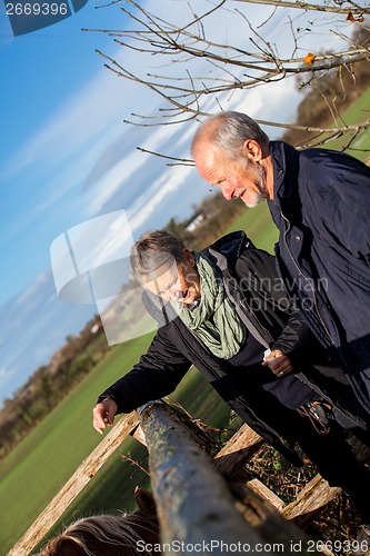 Image of Elderly couple petting a horse in a paddock