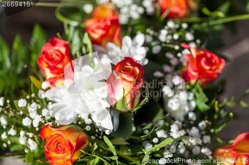 Image of Background of colourful vivid summer flowers