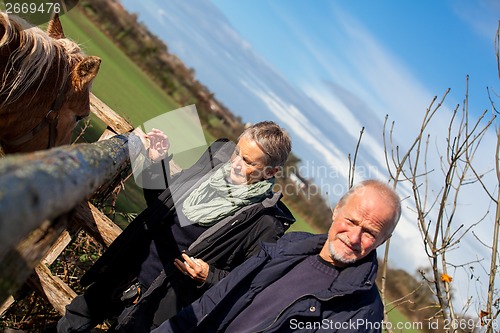 Image of Elderly couple petting a horse in a paddock