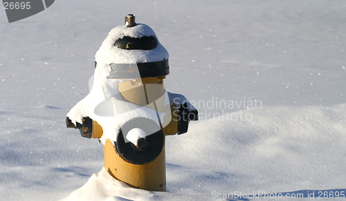 Image of fire hydrant in snow