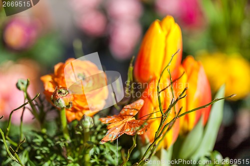 Image of Background of colourful vivid summer flowers